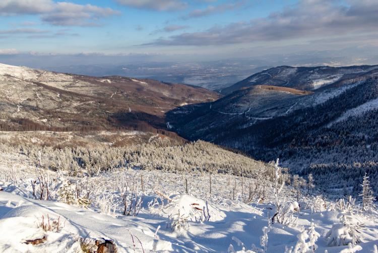 Halo | Warszawa | 11