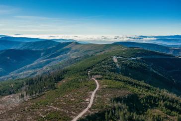 Halo | Warszawa | Galeria 56