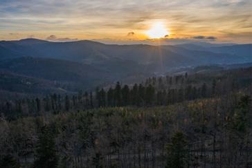 Halo | Warszawa | Galeria 55