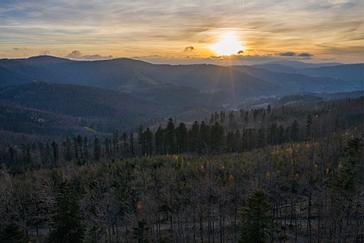 Halo | Warszawa | Galeria 55