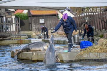 Halo | Warszawa | Photos 17