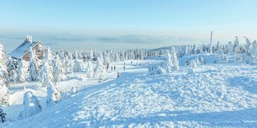 Halo | Warszawa | Galeria 66