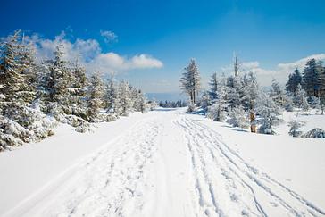 Halo | Warszawa | Galeria 6