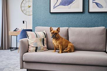 Halo | Warszawa | Galeria 23