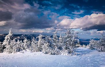 Halo | Warszawa | Galeria 7